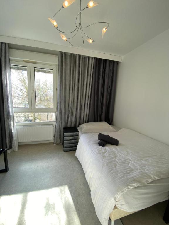 Nancy Hyper Centre, Chambre Prive Chez L'Habitant En Colocation ภายนอก รูปภาพ