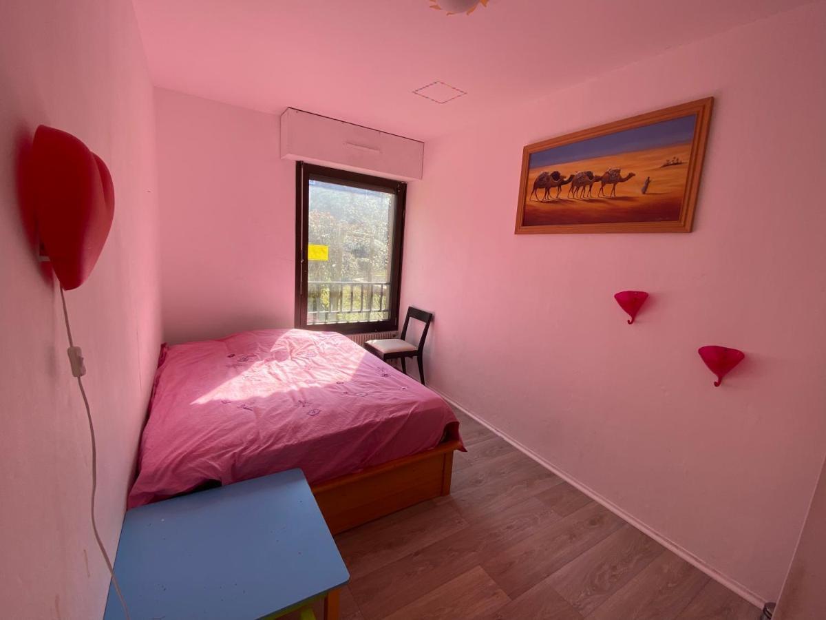 Nancy Hyper Centre, Chambre Prive Chez L'Habitant En Colocation ภายนอก รูปภาพ